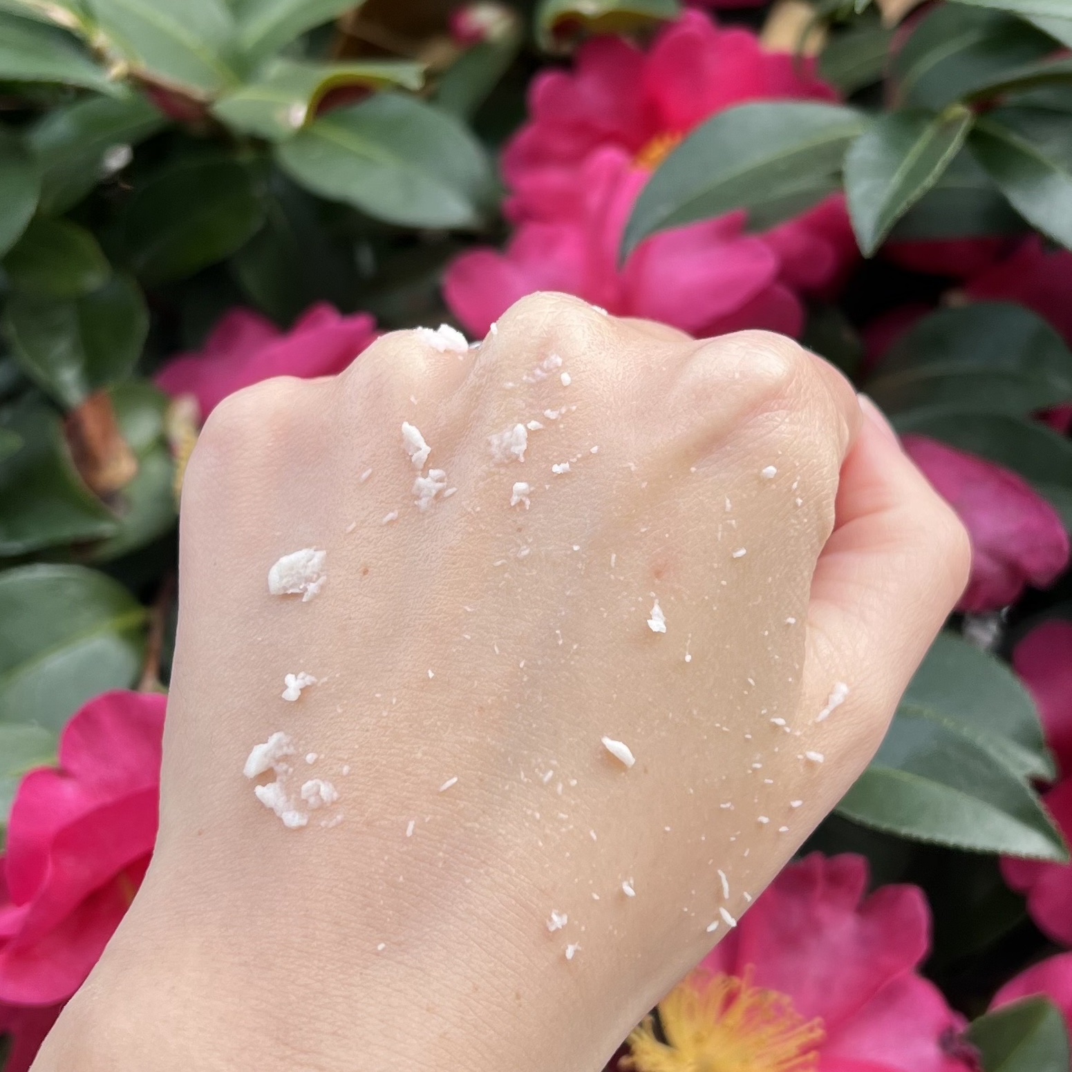 AMPLE:N プリパインショットカボチャ酵素ピーリングジェルのクチコミ「最近肌のごわつきが気になったので
評価が良かったピーリングを購入！
カボチャピーリングらしくて.....」（3枚目）