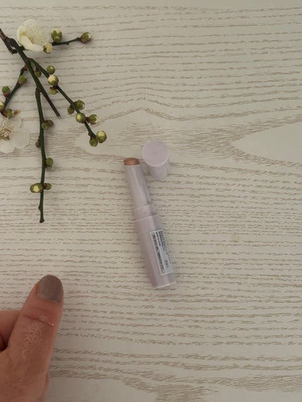 ハイドロゼリーグロウスティック/Ui2./スティックアイシャドウを使ったクチコミ(3枚目)