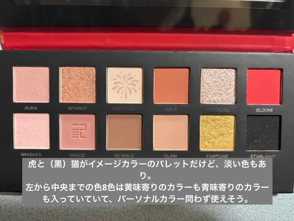 エクスプローラ12色 動物アイシャドウパレット/PERFECT DIARY/アイシャドウパレットを使ったクチコミ(2枚目)