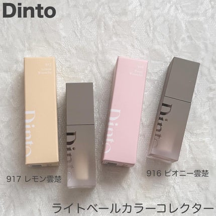 ライトベールカラーコレクター/Dinto/リキッドコンシーラーを使ったクチコミ(1枚目)