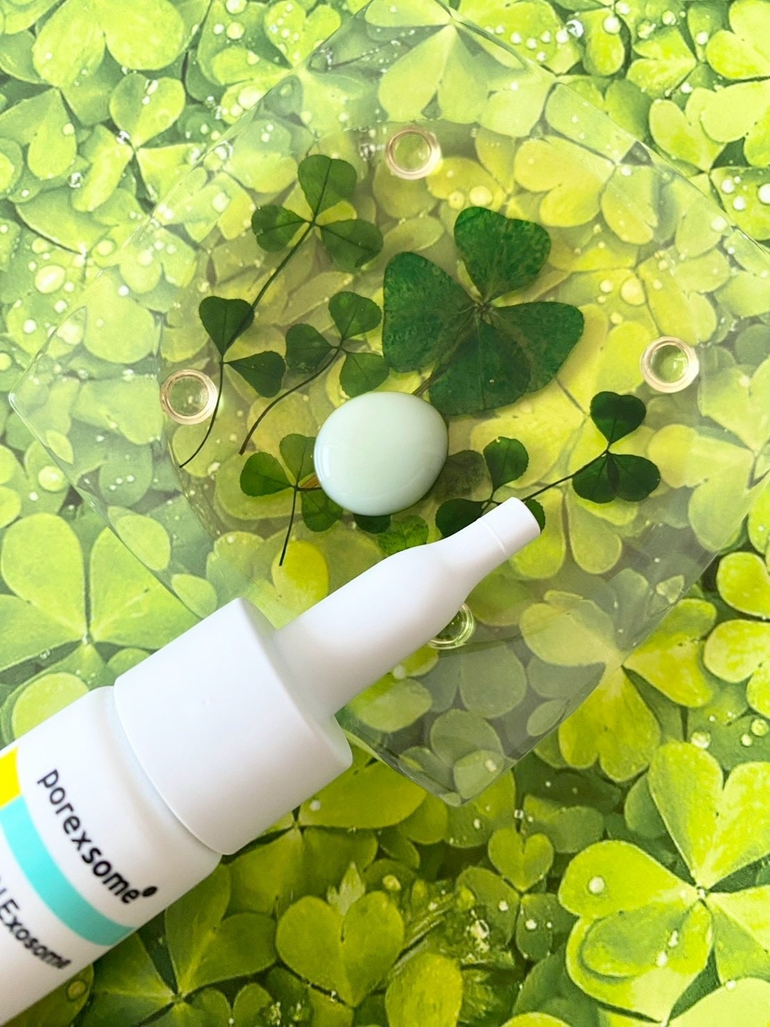 ReDRNエクソソームアンプル/Dr.nineteen/美容液を使ったクチコミ(2枚目)