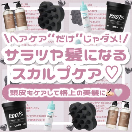 ラッシュ 現実頭皮のクチコミ「\ヘアケア“だけ”じゃダメ!/サラツヤ髪になるスカルプケア💖
頭皮もケアして格上の美髪に✍🏻🤍.....」(1枚目)