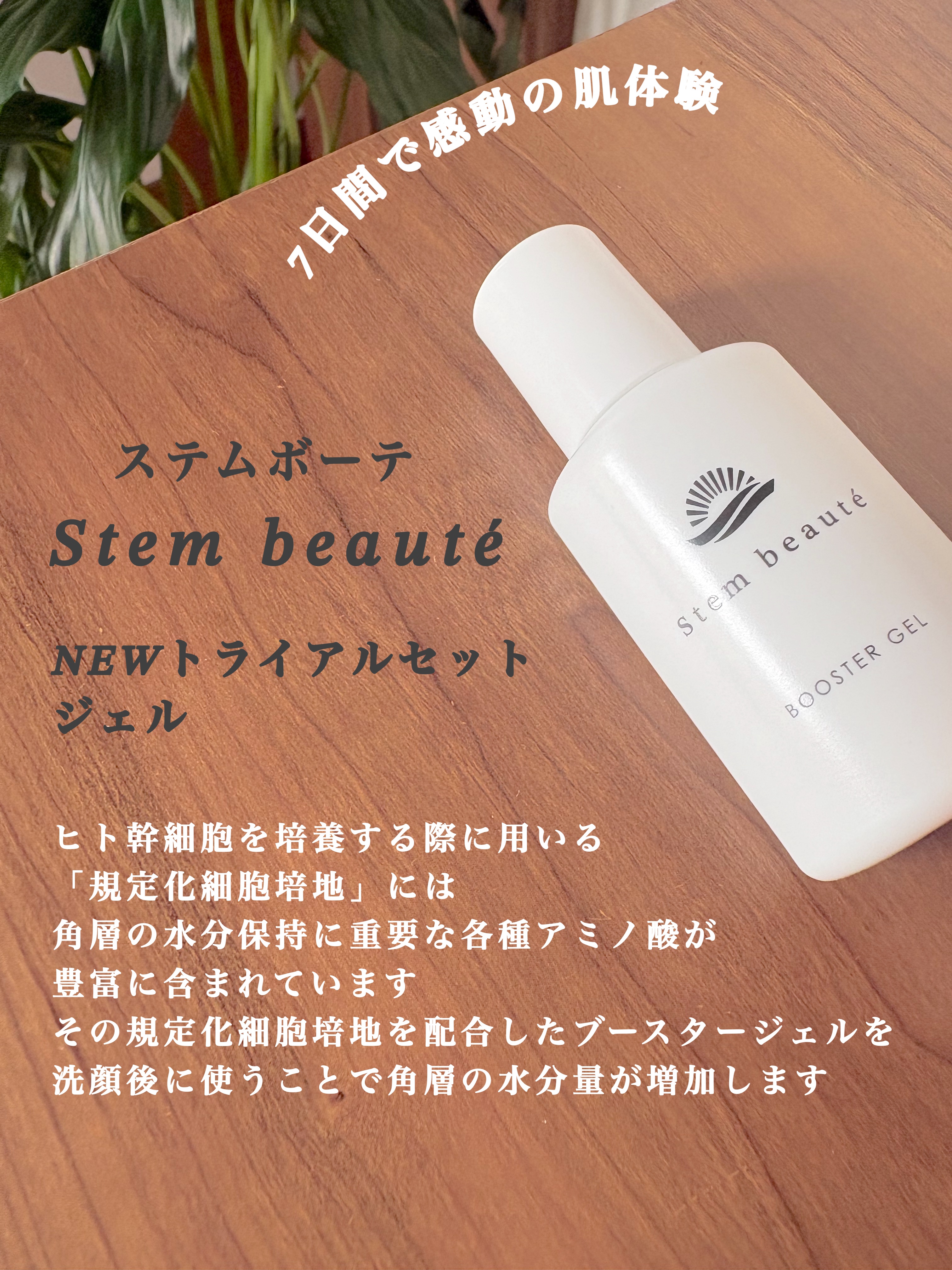 New Trial set/ステムボーテ/トライアルキットを使ったクチコミ（2枚目）