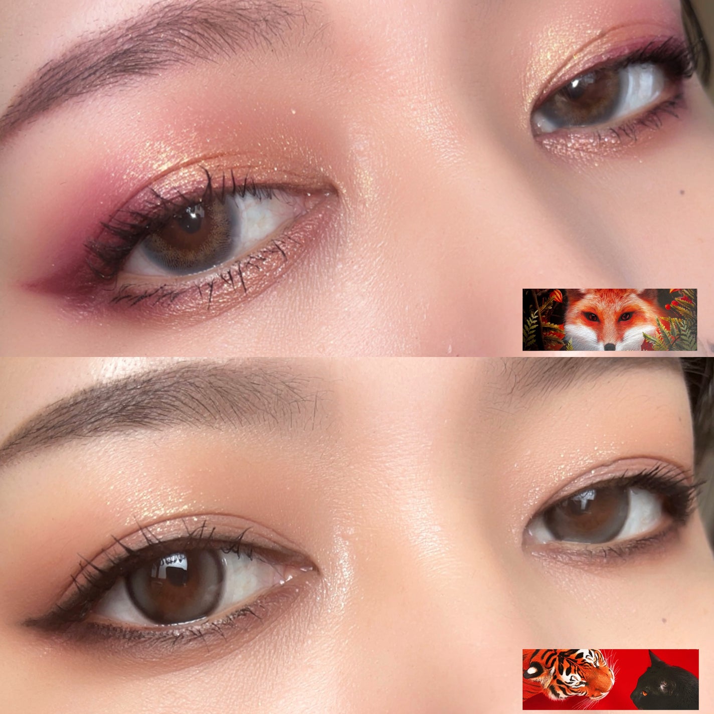 エクスプローラ12色 動物アイシャドウパレット/PERFECT DIARY/アイシャドウパレットを使ったクチコミ(7枚目)