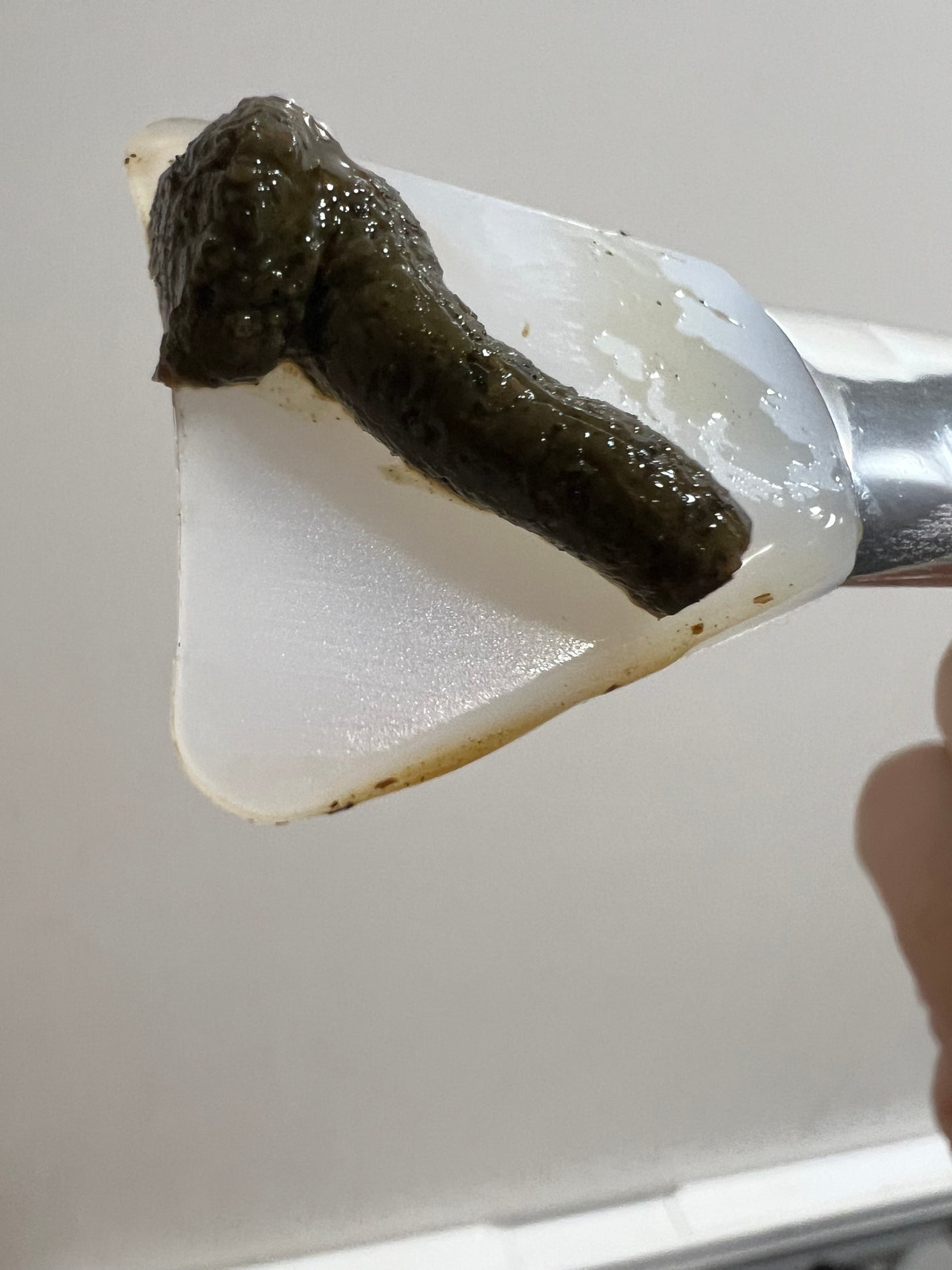 ティーツリーハーブピーリングパック/WellDerma/洗い流すパック・マスクを使ったクチコミ(4枚目)