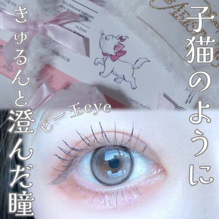 びゃっこまる on LIPS 「かわいすぎる〜🎀🤍おしゃれキャットなカラコンでたよ@hapak..」(6枚目)