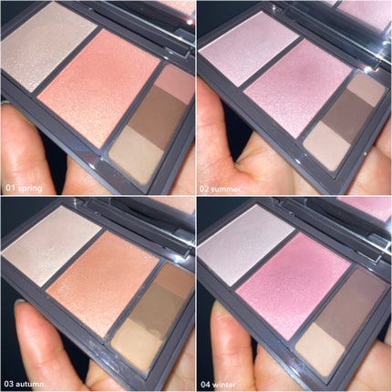 フィット my カラーパレット/STEIASUR(ステイアシュール)/マルチパレットを使ったクチコミ(4枚目)