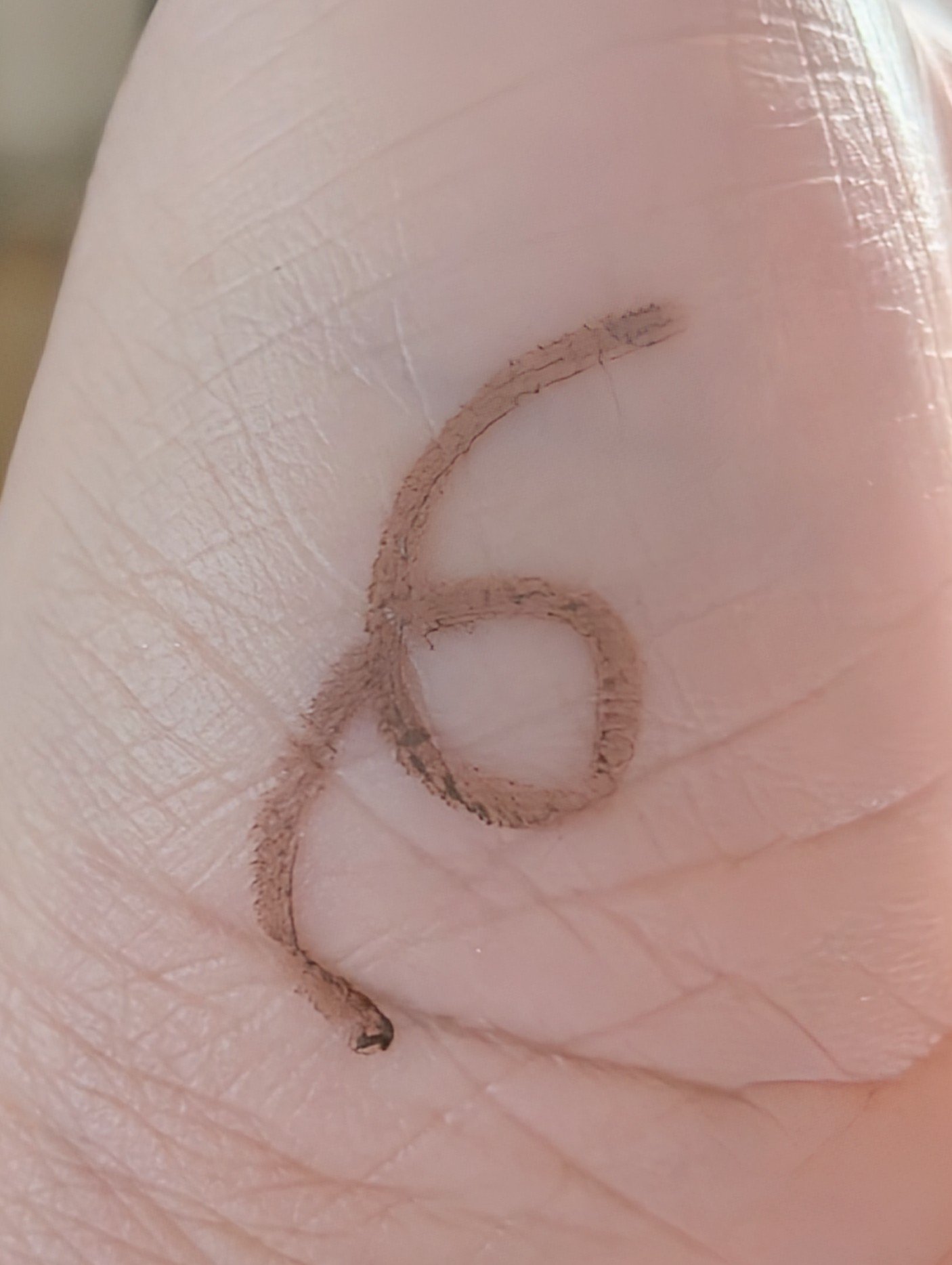 クリーミータッチライナー/キャンメイク/ジェルアイライナーを使ったクチコミ（2枚目）