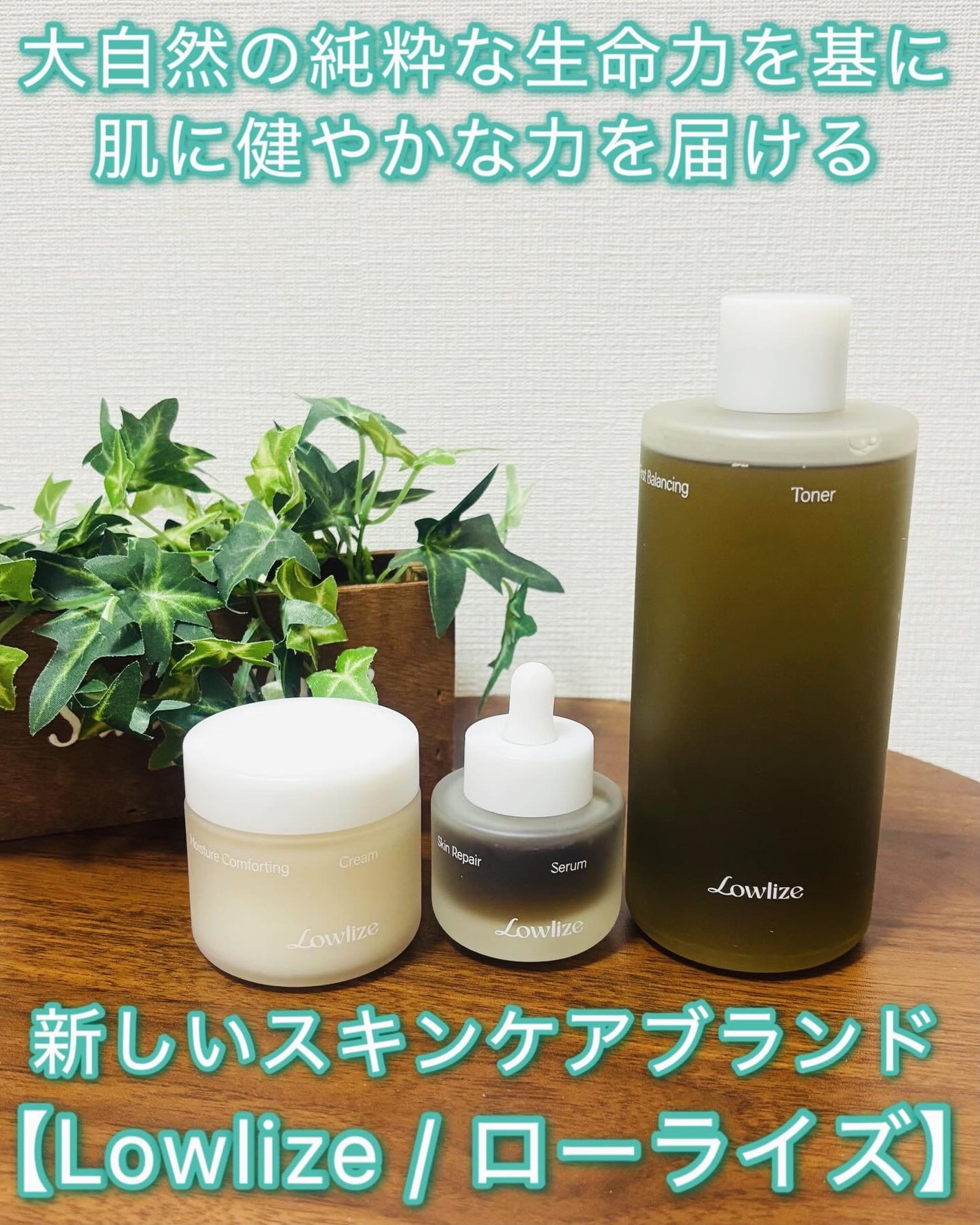 ファーストバランシングトナー/Lowlize/化粧水を使ったクチコミ(1枚目)