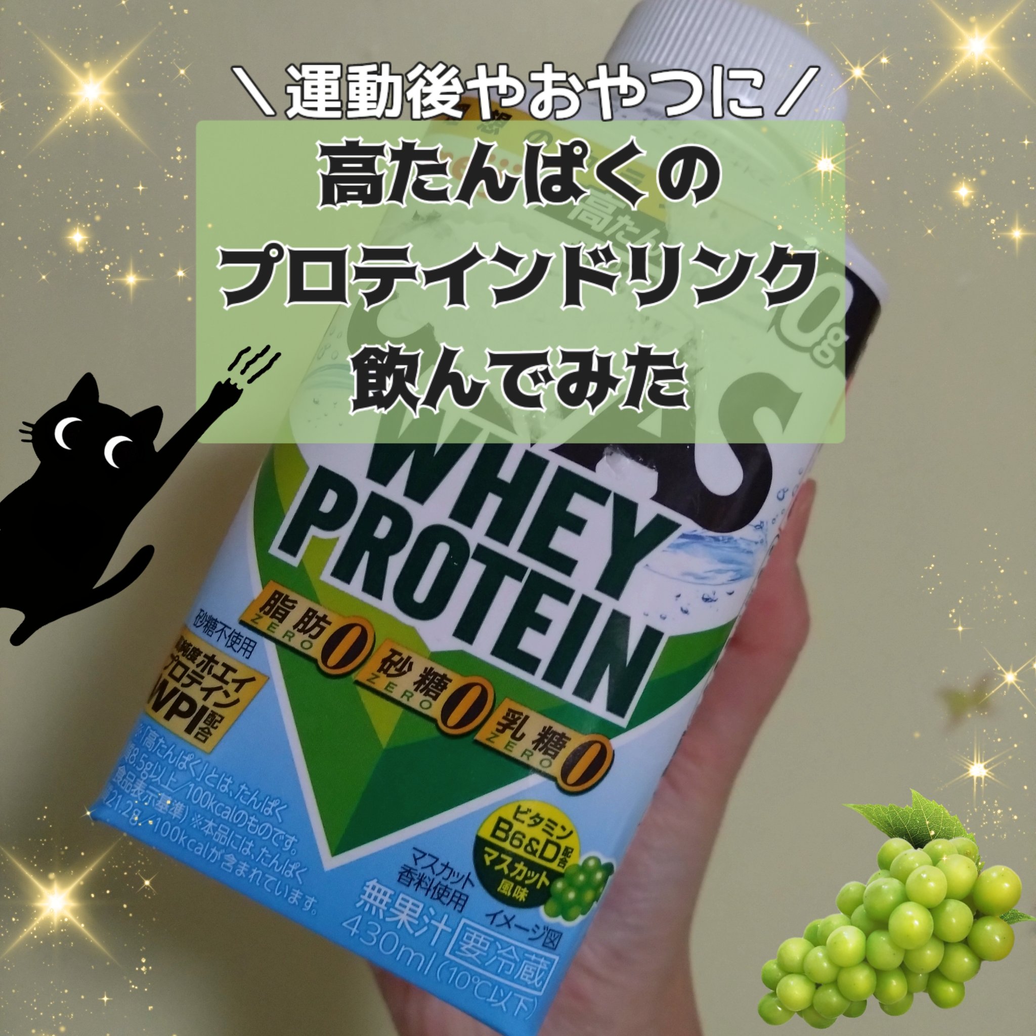 MILK PROTEIN脂肪0/ザバス/その他プロテインを使ったクチコミ（1枚目）