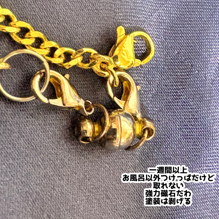 アクセサリーの 留め具がマグネットで 着脱簡単/セイワ・プロ/その他を使ったクチコミ（2枚目）