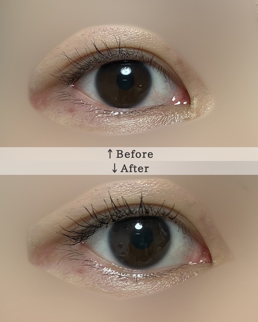 アイコニックロングマスカラ/Milk Touch/マスカラを使ったクチコミ(5枚目)