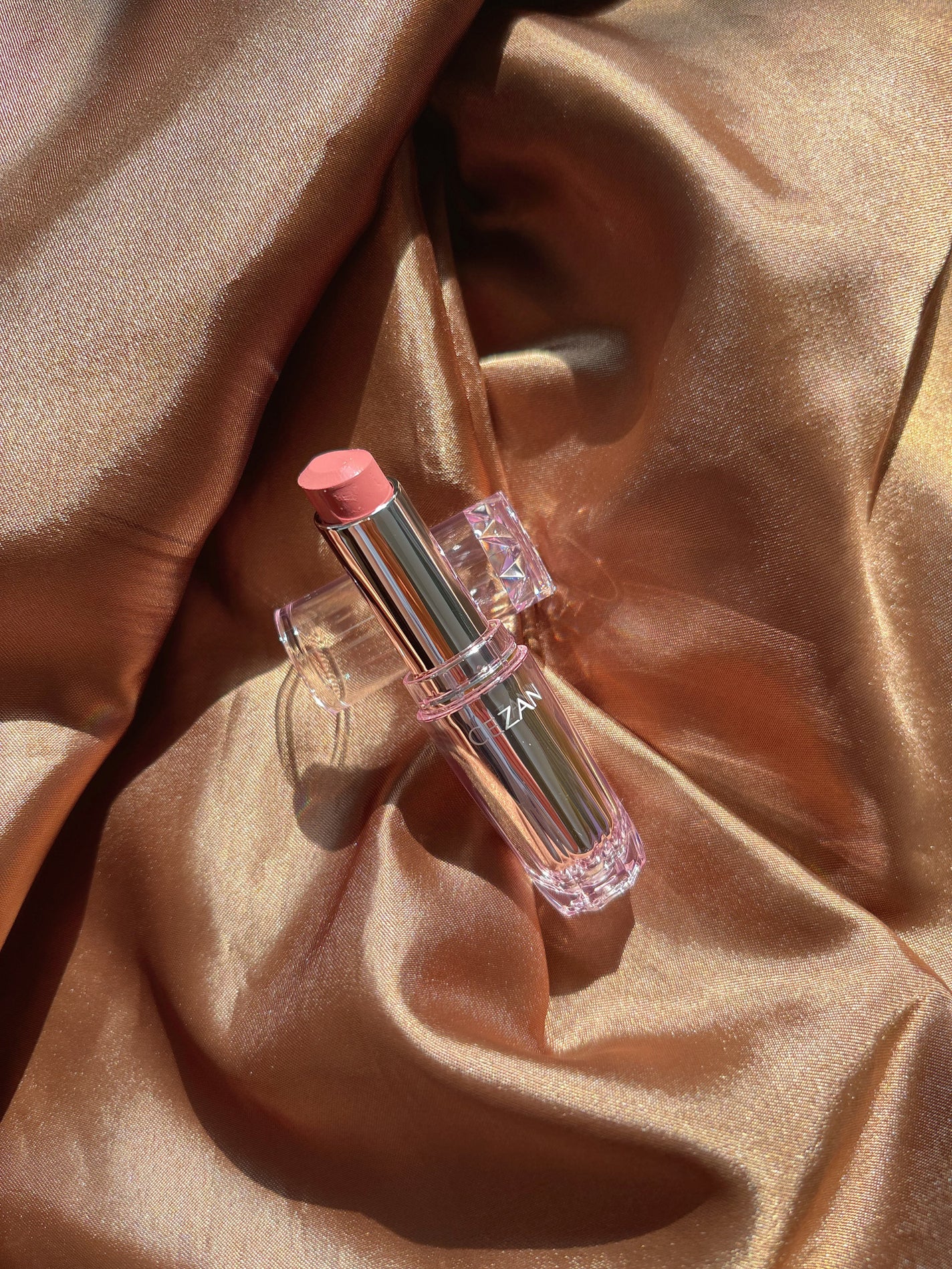 ラスティンググロスリップN/CEZANNE/口紅・グロス・リップライナー・リップケアを使ったクチコミ(1枚目)