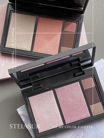 フィット my カラーパレット/STEIASUR(ステイアシュール)/マルチパレットを使ったクチコミ(2枚目)
