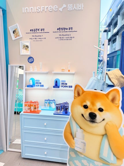 レチノール シカ リペア セラム/innisfree/美容液を使ったクチコミ(8枚目)