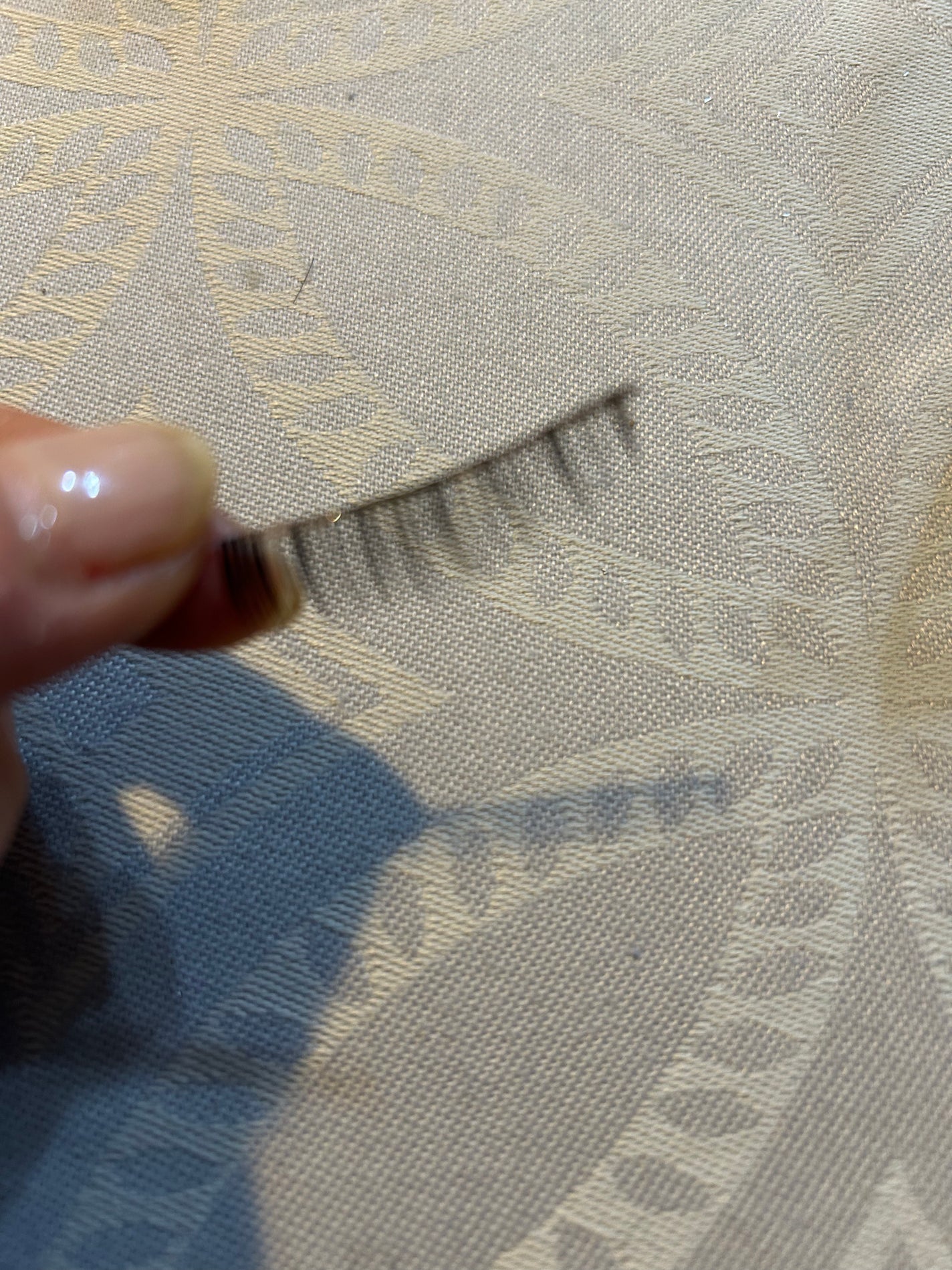 アイラッシュフィクサーEX 552/D-UP/つけまつげを使ったクチコミ(5枚目)