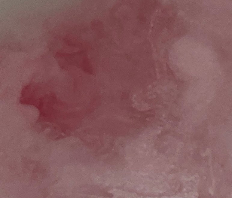 日本の名湯 至福の贅沢/バスクリン/無機塩系入浴剤を使ったクチコミ(4枚目)