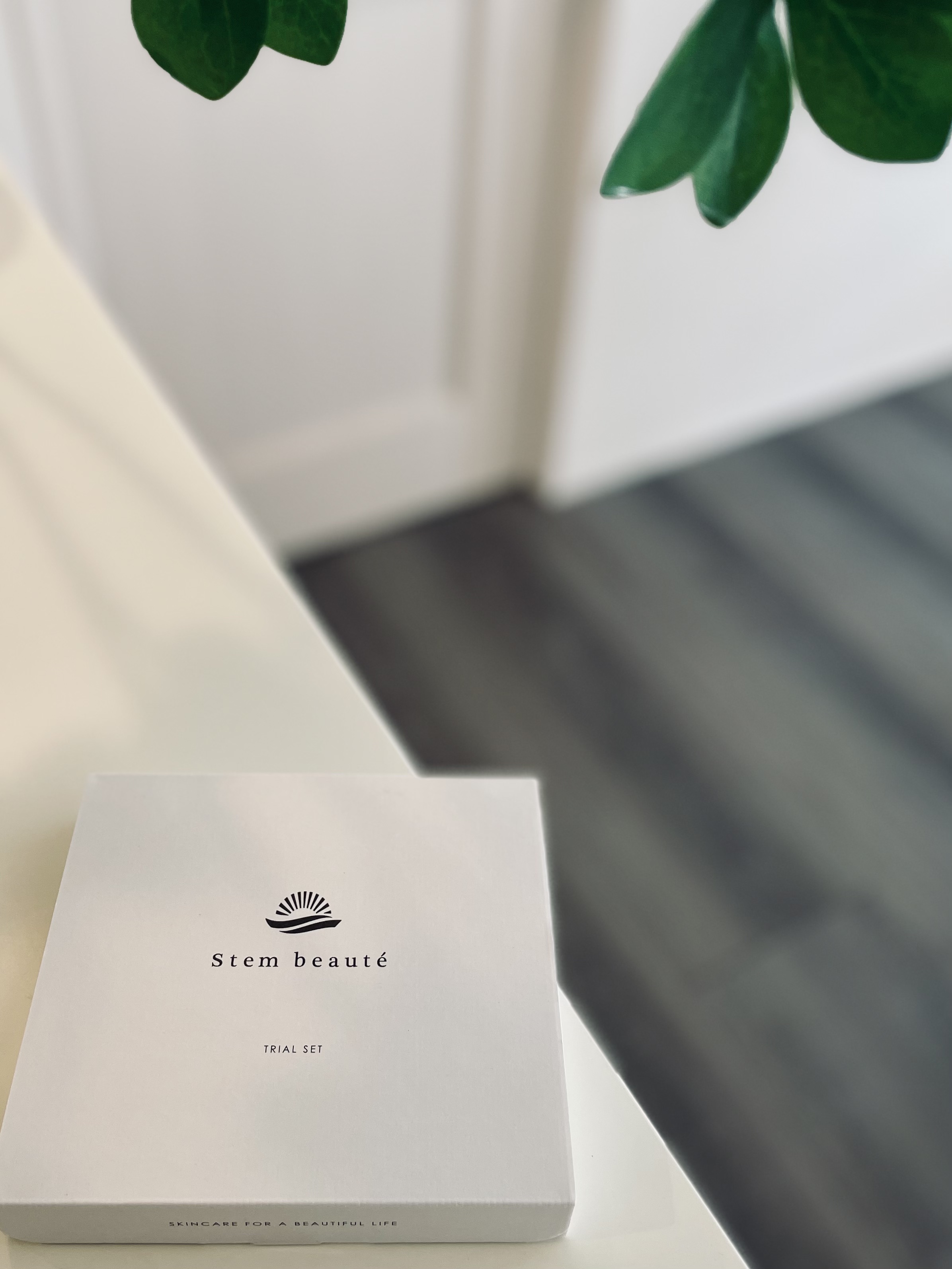 ステムボーテ New Trial setのクチコミ「

花粉でゆらぐ季節到来の時期。
安心してつかえるのでゆらぎ肌の方にも
おすすめしたい🌿
 ベ.....」（2枚目）