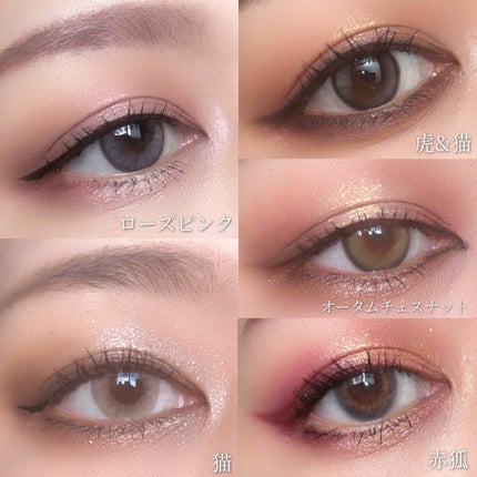 エクスプローラ12色 動物アイシャドウパレット/PERFECT DIARY/アイシャドウパレットを使ったクチコミ(6枚目)