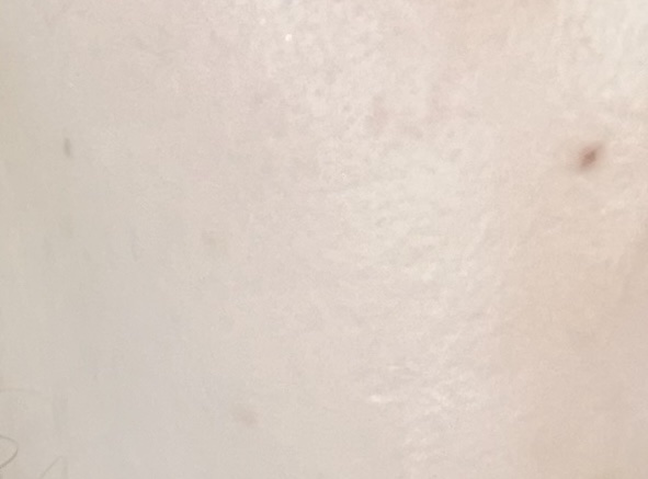 アンリミテッド ブロック：ブースター アドバンスト/shu uemura/化粧下地を使ったクチコミ（3枚目）