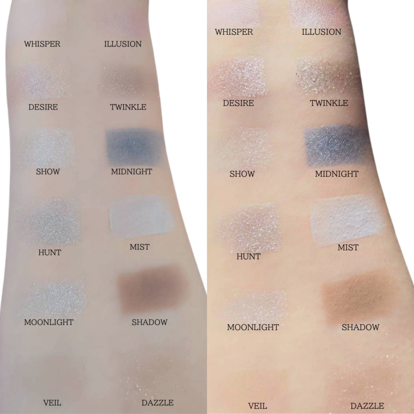 エクスプローラ12色 動物アイシャドウパレット/PERFECT DIARY/アイシャドウパレットを使ったクチコミ(2枚目)