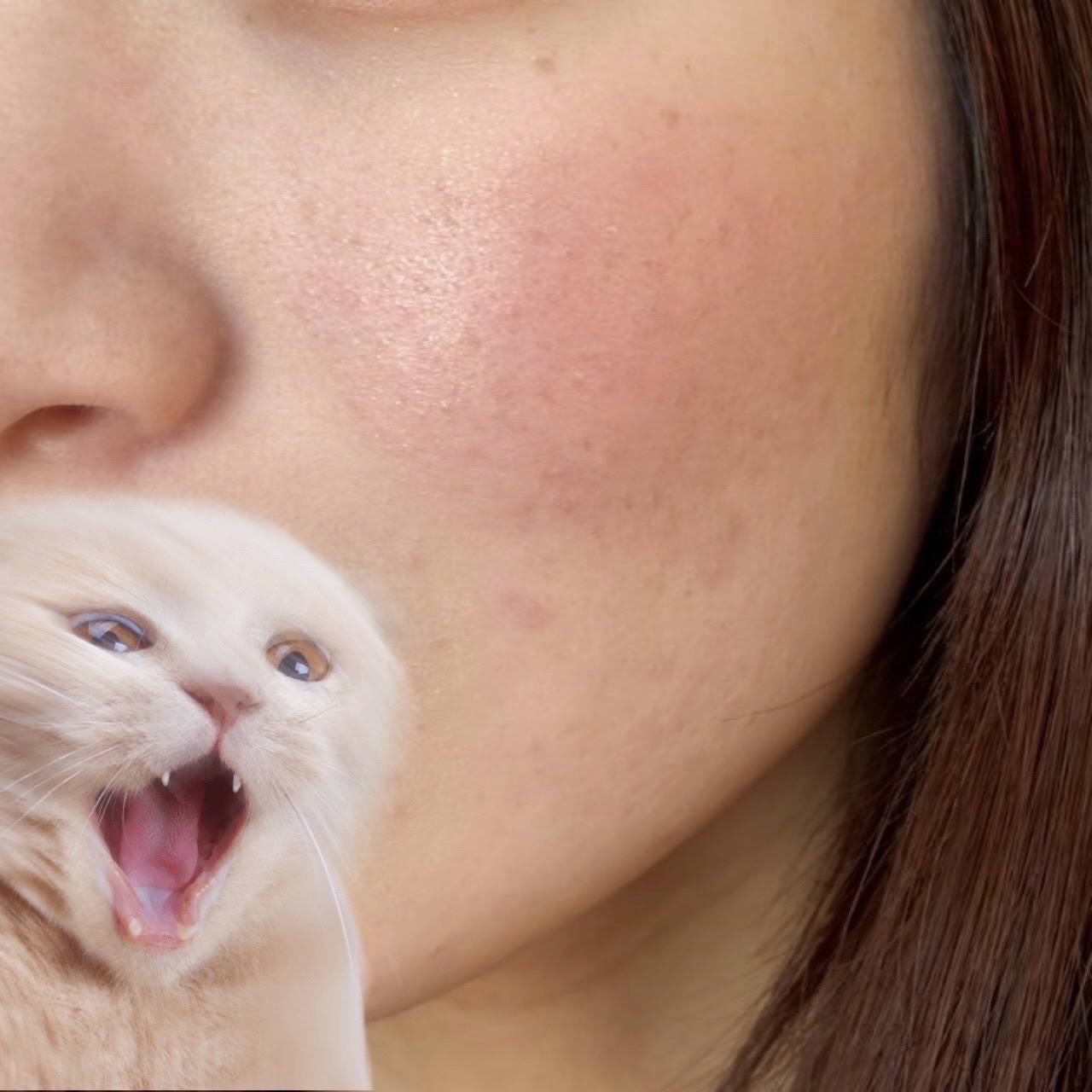 ピュアホットチーク/チャコット・コスメティクス/パウダーチークを使ったクチコミ（3枚目）