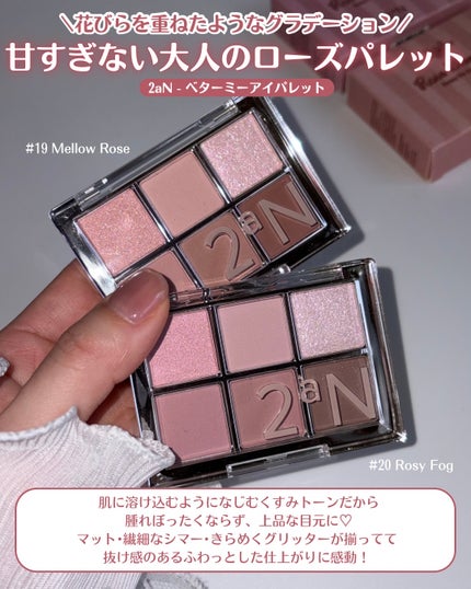 デュアルチーク/2aN/パウダーチークを使ったクチコミ(3枚目)