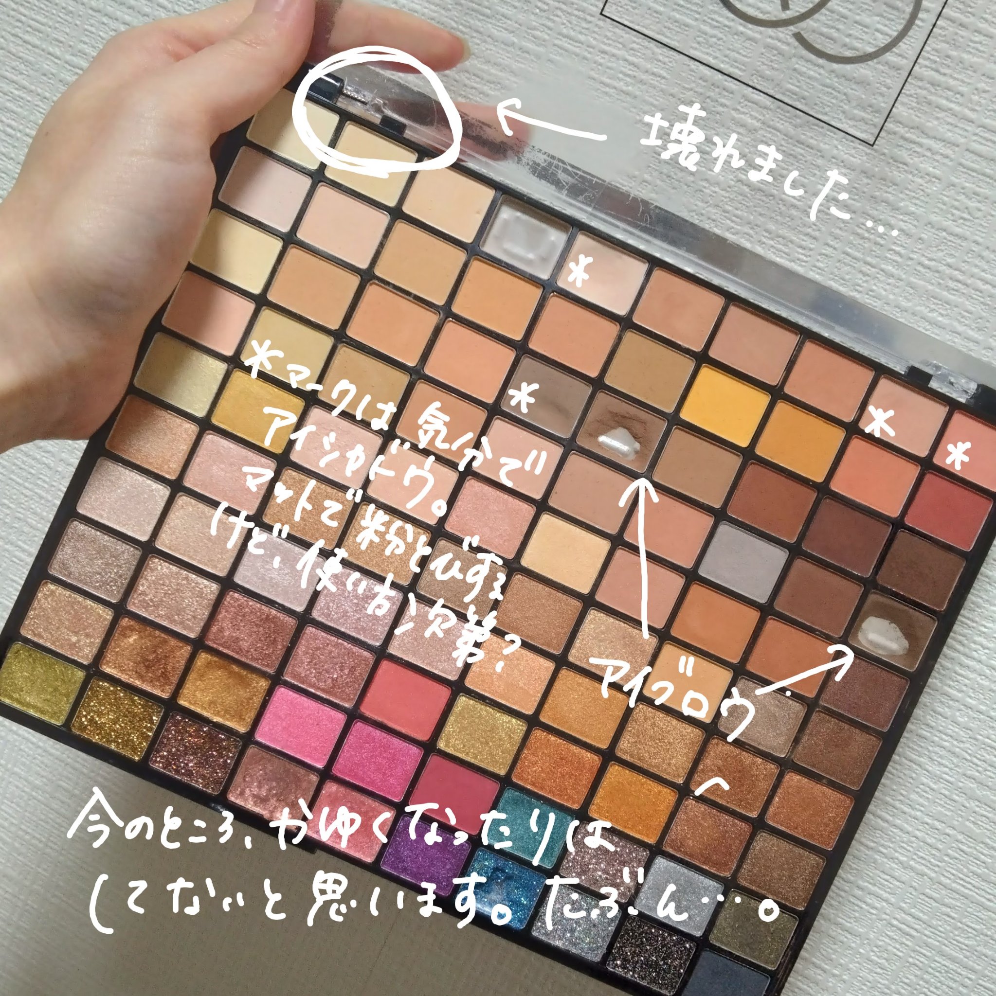 プロフェッショナルボリューム100カラー/Dolly Angel/アイシャドウパレットを使ったクチコミ（3枚目）