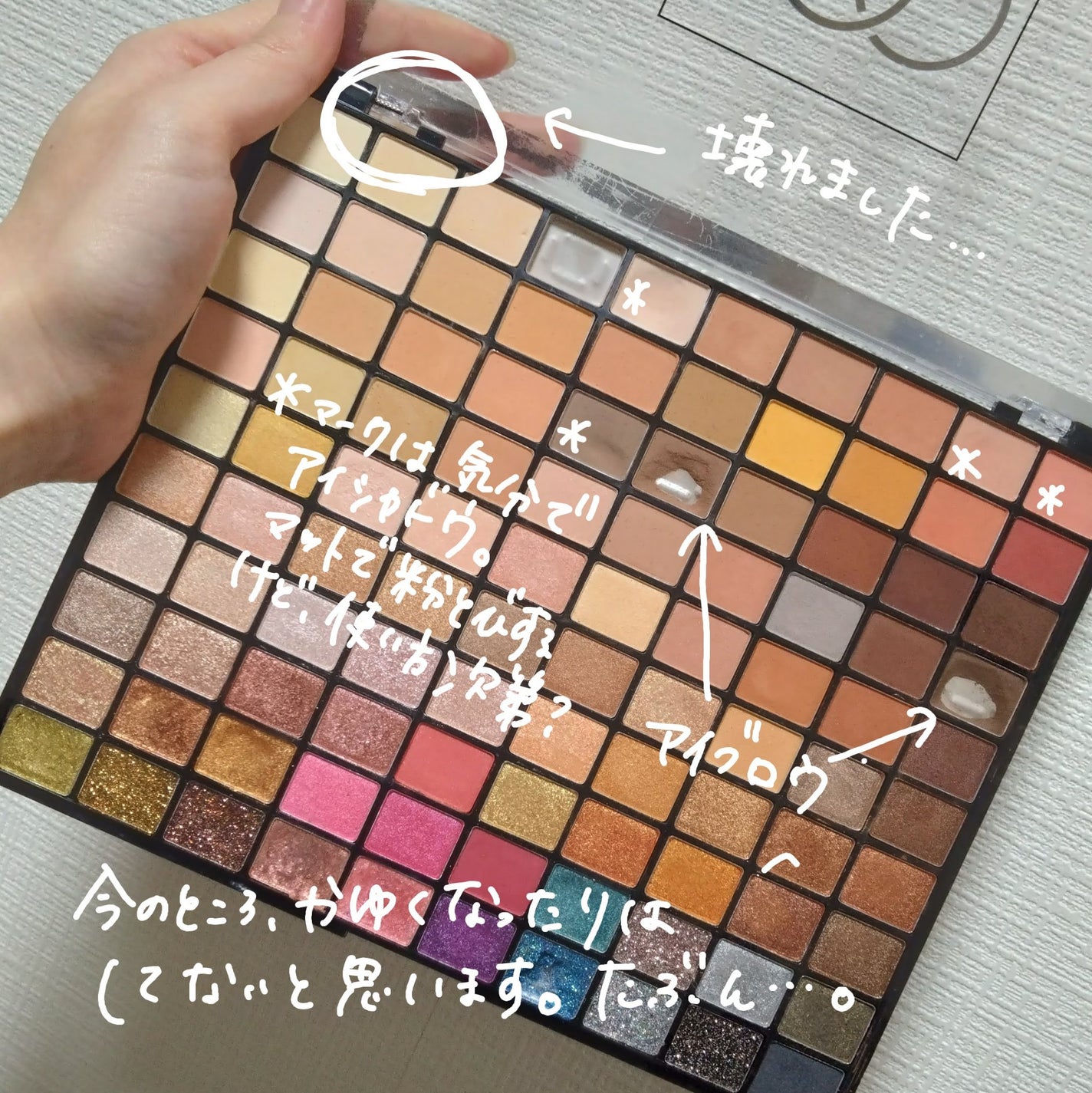 プロフェッショナルボリューム100カラー/Dolly Angel/アイシャドウパレットを使ったクチコミ(3枚目)