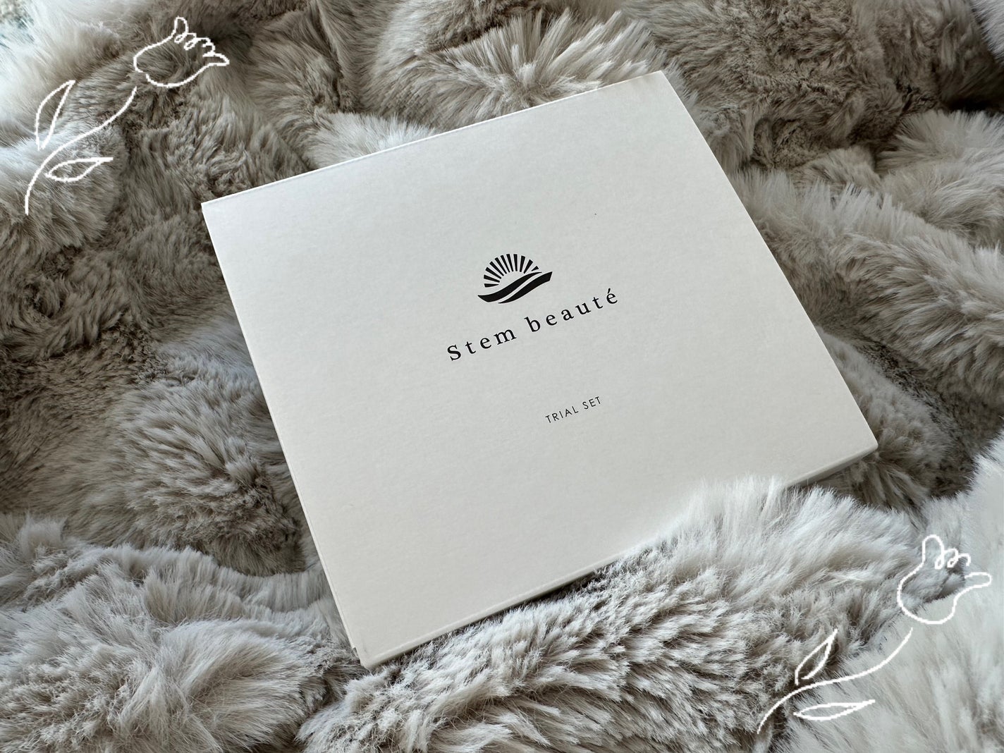 New Trial set/ステムボーテ/トライアルキットを使ったクチコミ(5枚目)