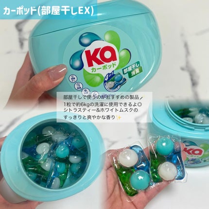 カーポッド 部屋干しEX/王子製薬/洗濯洗剤を使ったクチコミ(3枚目)