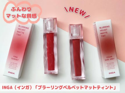 ブラーリングベルベットマットティント/INGA/口紅を使ったクチコミ(1枚目)
