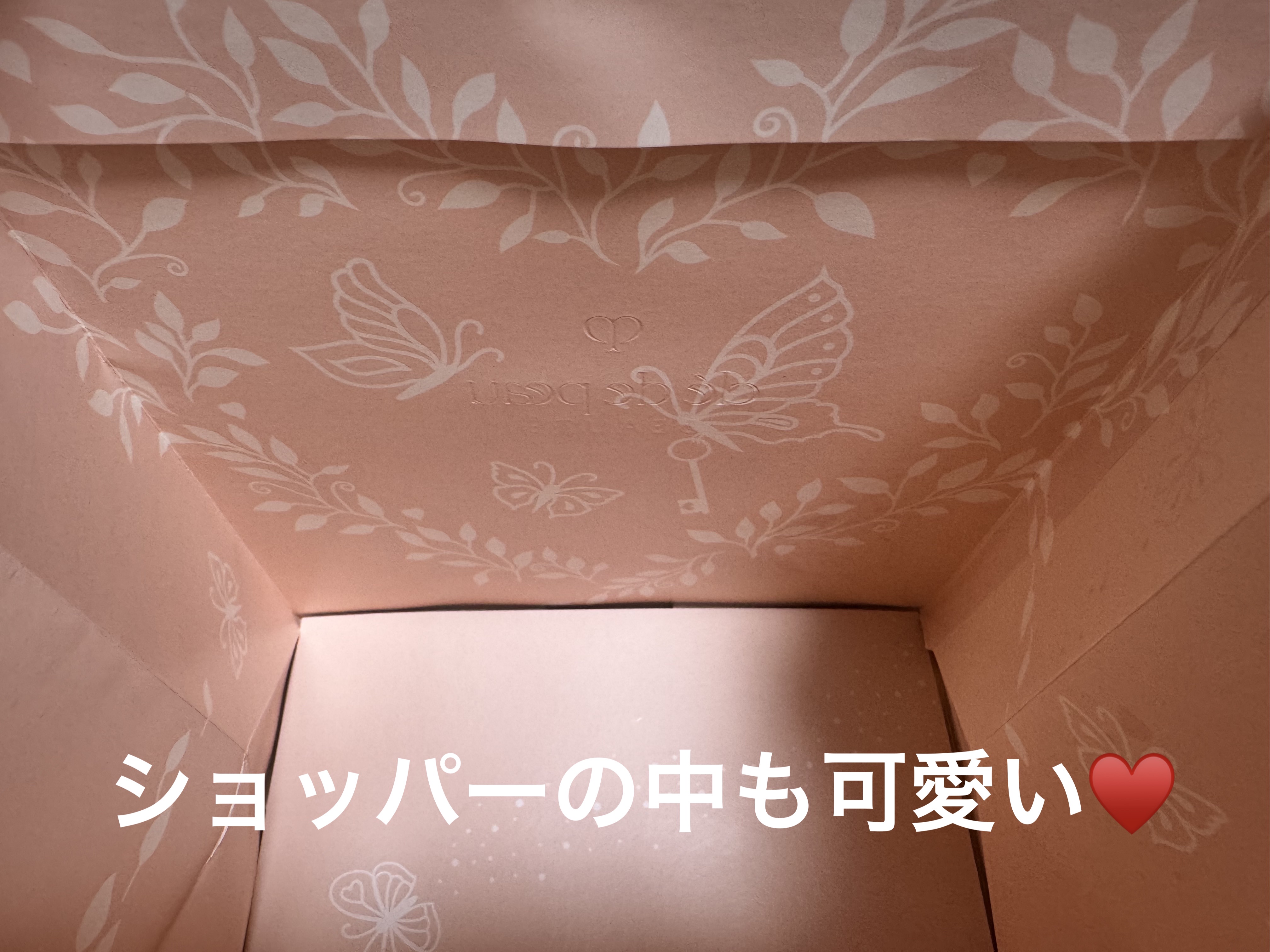 ルージュアレーブル/クレ・ド・ポー ボーテ/口紅を使ったクチコミ（3枚目）