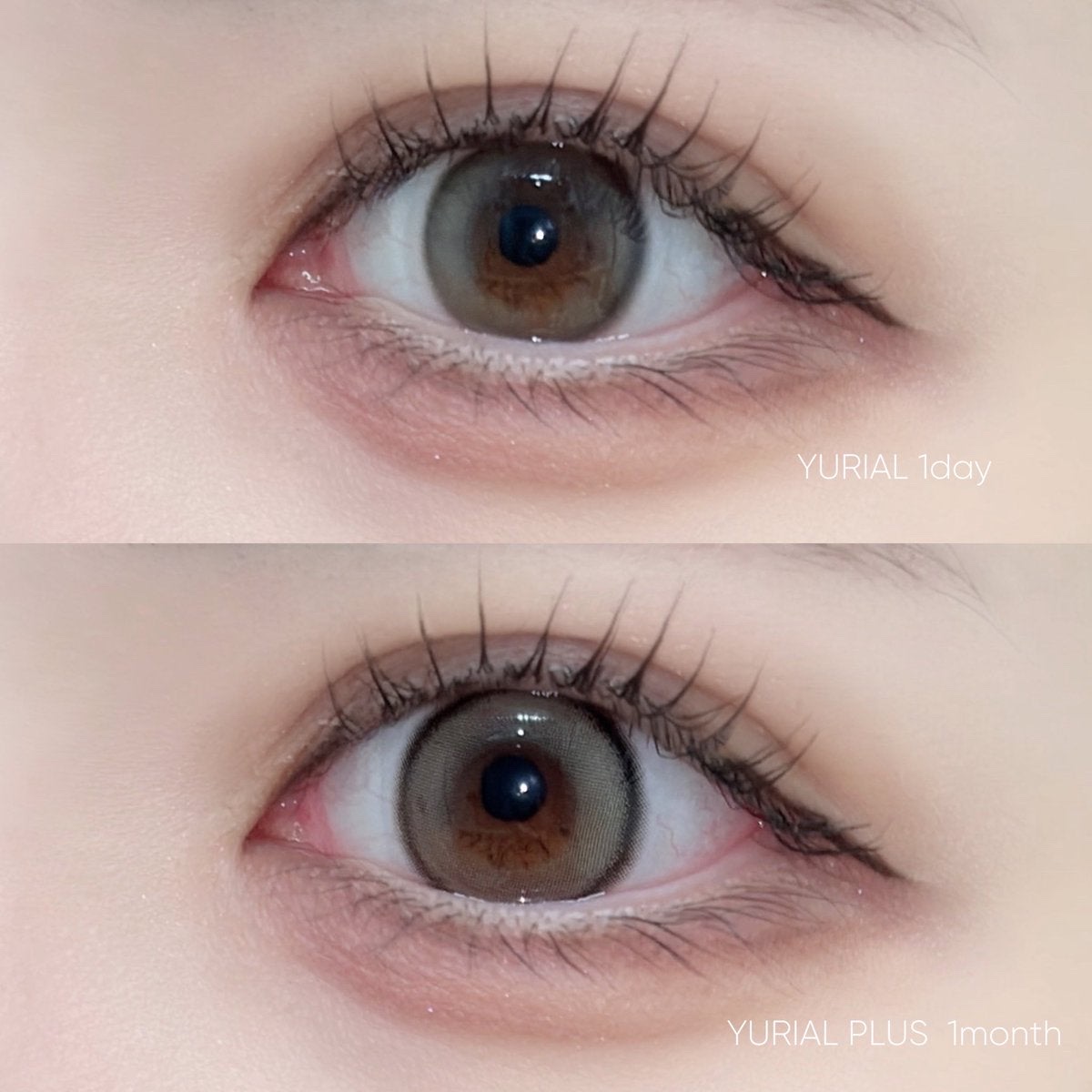 YURIAL 1DAY/URIA/ワンデー（１DAY）カラコンを使ったクチコミ（1枚目）