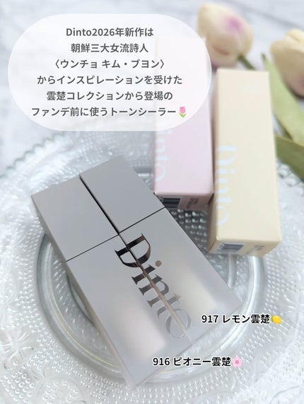 雲楚コレクション ライトベール カラーコレクター/Dinto/シェーディングを使ったクチコミ(2枚目)