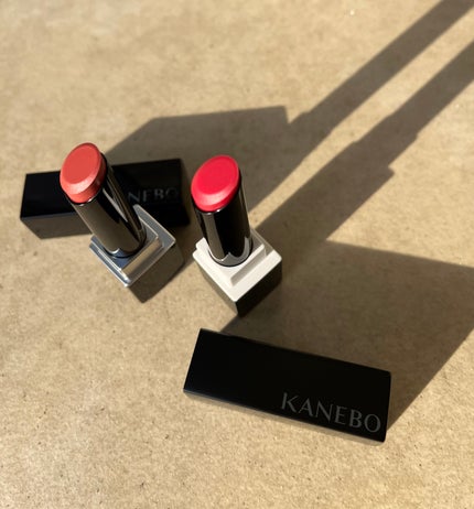 シグニチャー カラー アイズ/SUQQU/アイシャドウパレットを使ったクチコミ(3枚目)