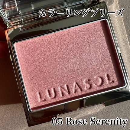 ルナソル フュージングカラーリップス/LUNASOL/口紅を使ったクチコミ(4枚目)