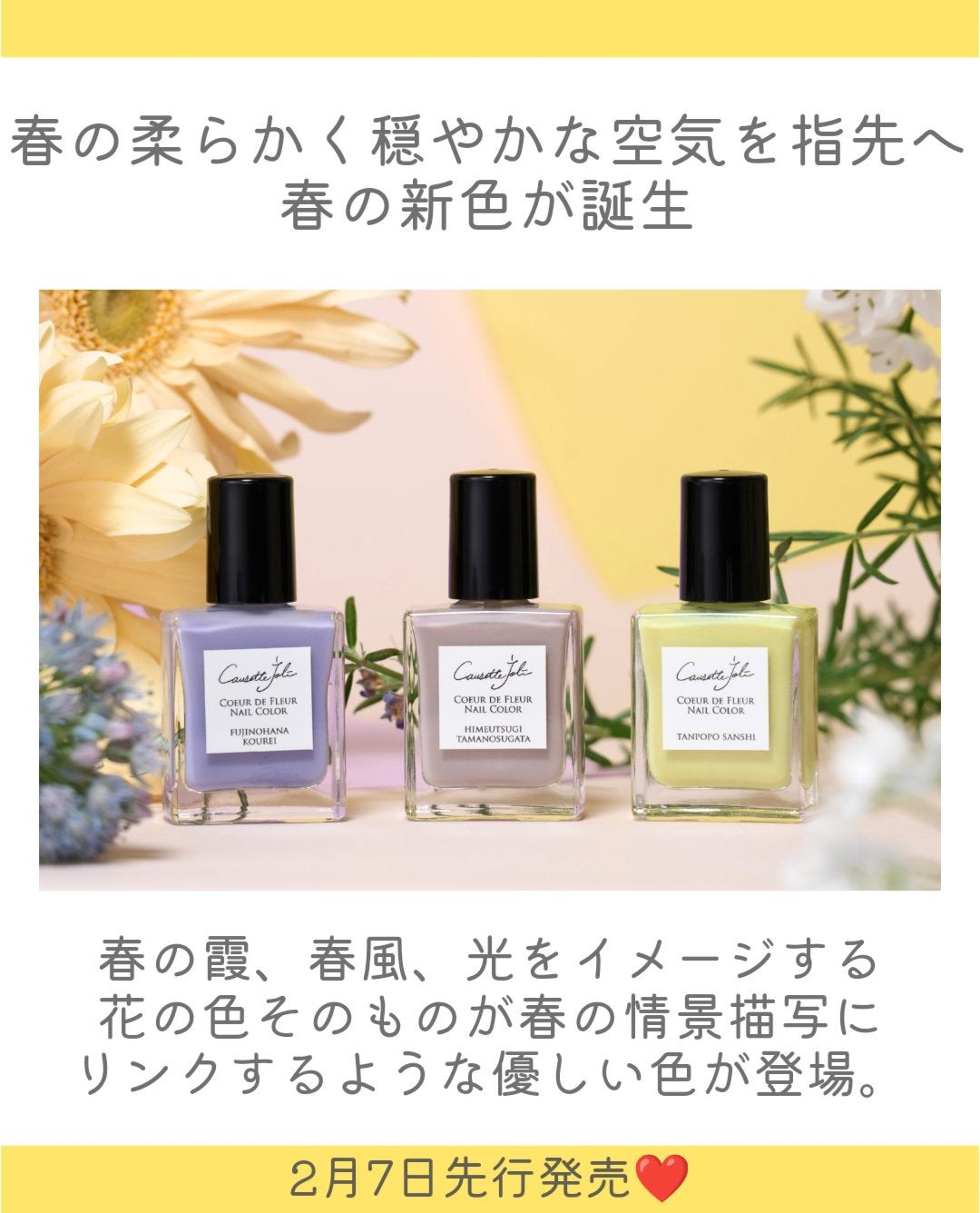 Coeur de Fleur Nail Color/Causette.Joli/マニキュアを使ったクチコミ(2枚目)