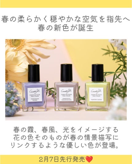 Coeur de Fleur Nail Color/Causette.Joli/マニキュアを使ったクチコミ(2枚目)