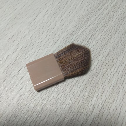 トーンフィルターハイライト/CEZANNE/パウダーハイライトを使ったクチコミ(4枚目)