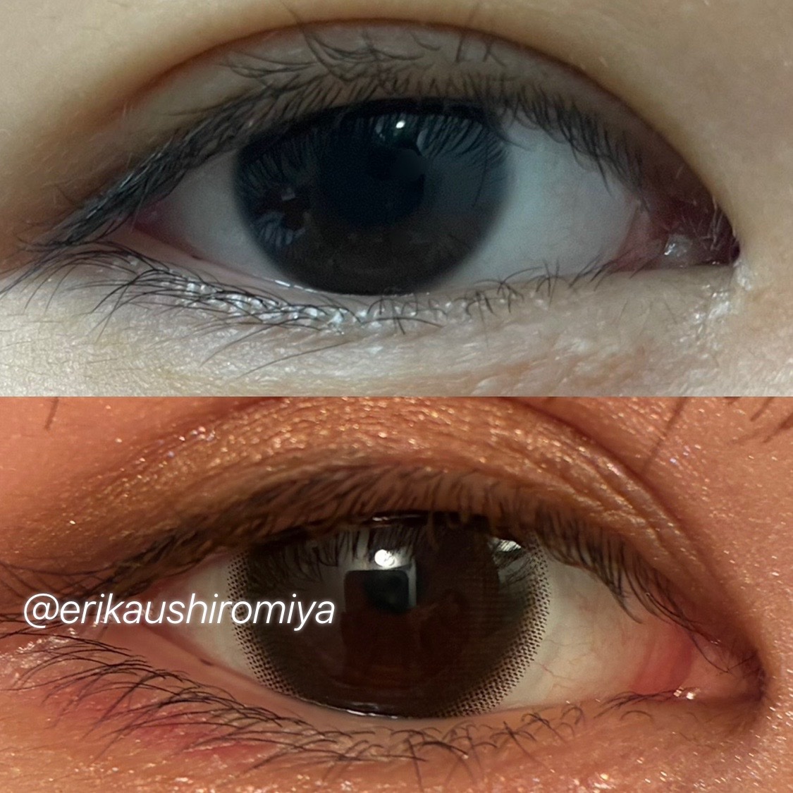 melotte 1day モアレディ/melotte/ワンデー（１DAY）カラコンを使ったクチコミ（2枚目）