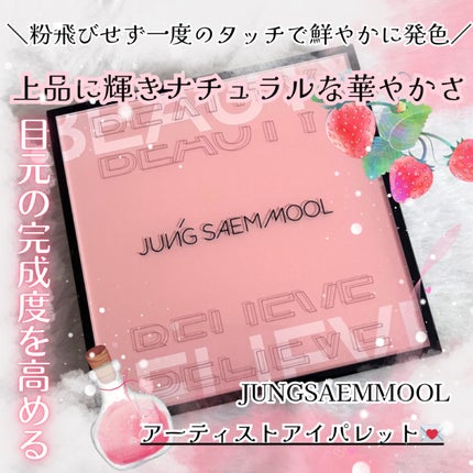 アーティストアイパレット/JUNG SAEM MOOL/アイシャドウパレットを使ったクチコミ(1枚目)