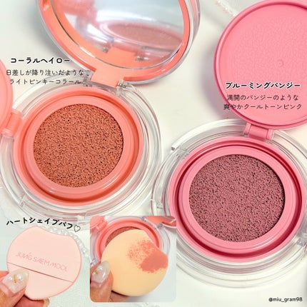 アーティストクッションブラッシュ/JUNG SAEM MOOL/リキッドチークを使ったクチコミ(3枚目)