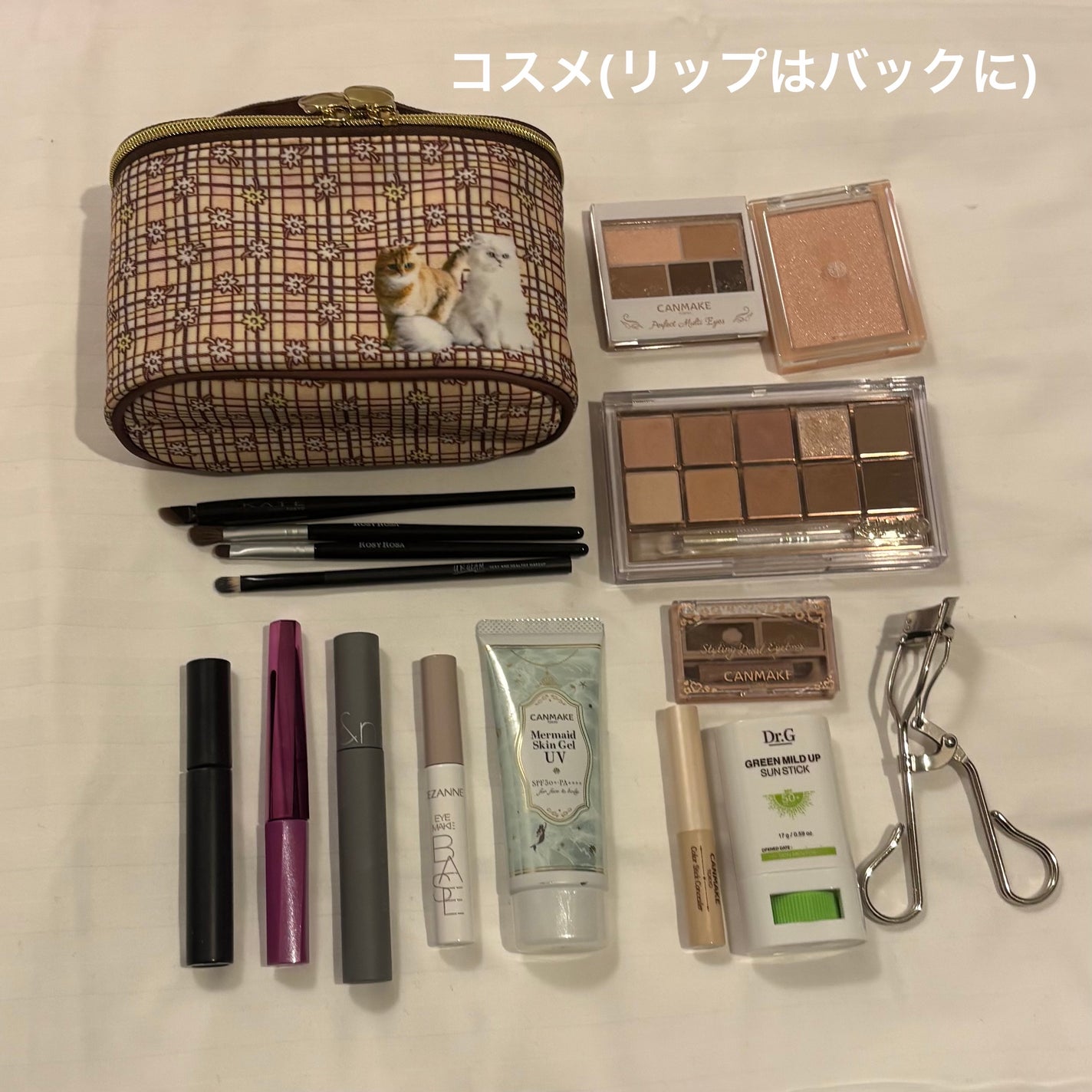 M_ on LIPS 「1泊2日の旅行日記in1月/ライブ行きました〜!キャリーケース..」(5枚目)