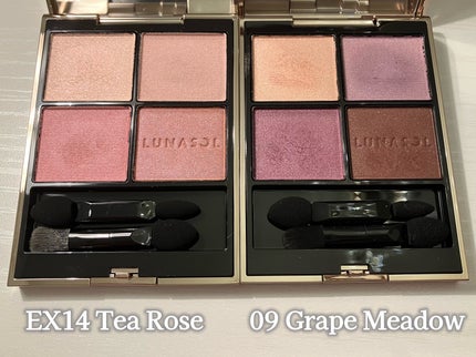 ルナソル アイカラーレーションN/LUNASOL/アイシャドウパレットを使ったクチコミ(4枚目)