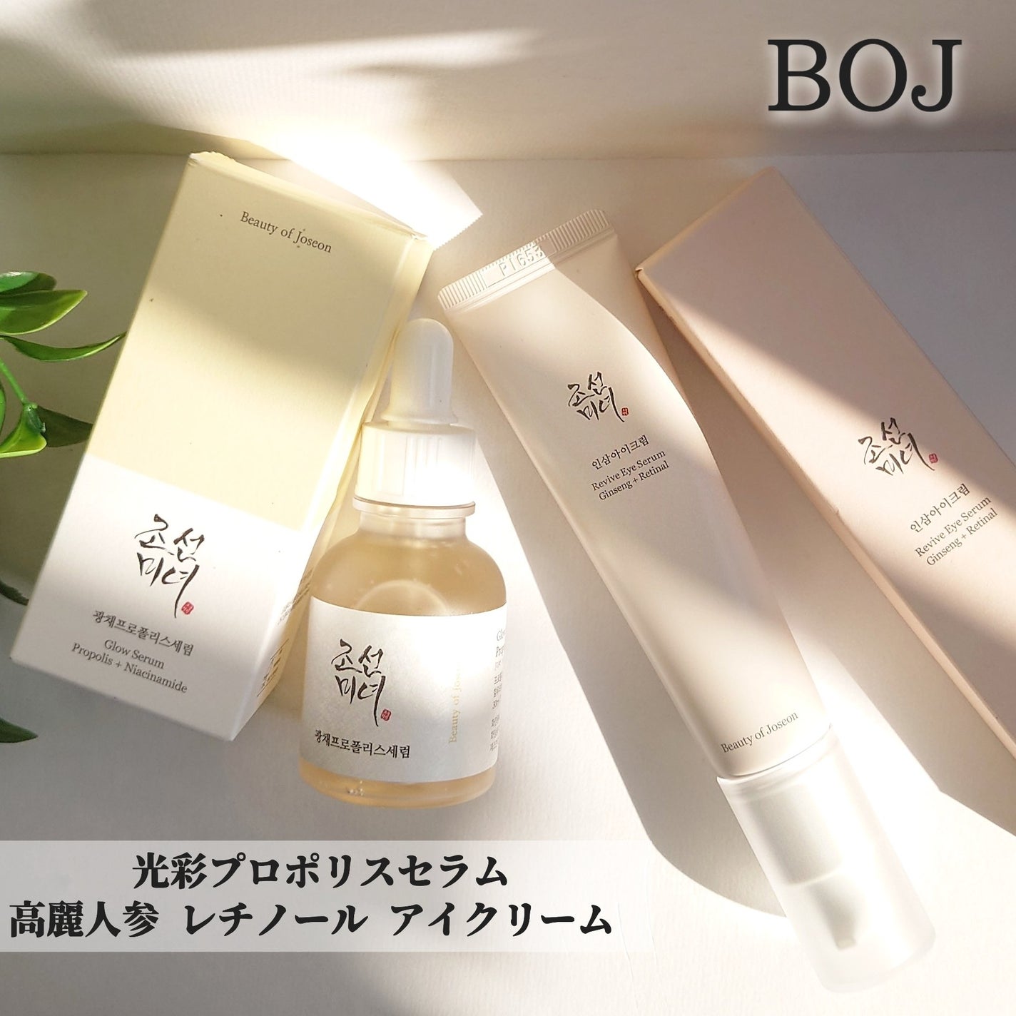 高麗人参アイクリーム/Beauty of Joseon/アイケア・アイクリームを使ったクチコミ(1枚目)