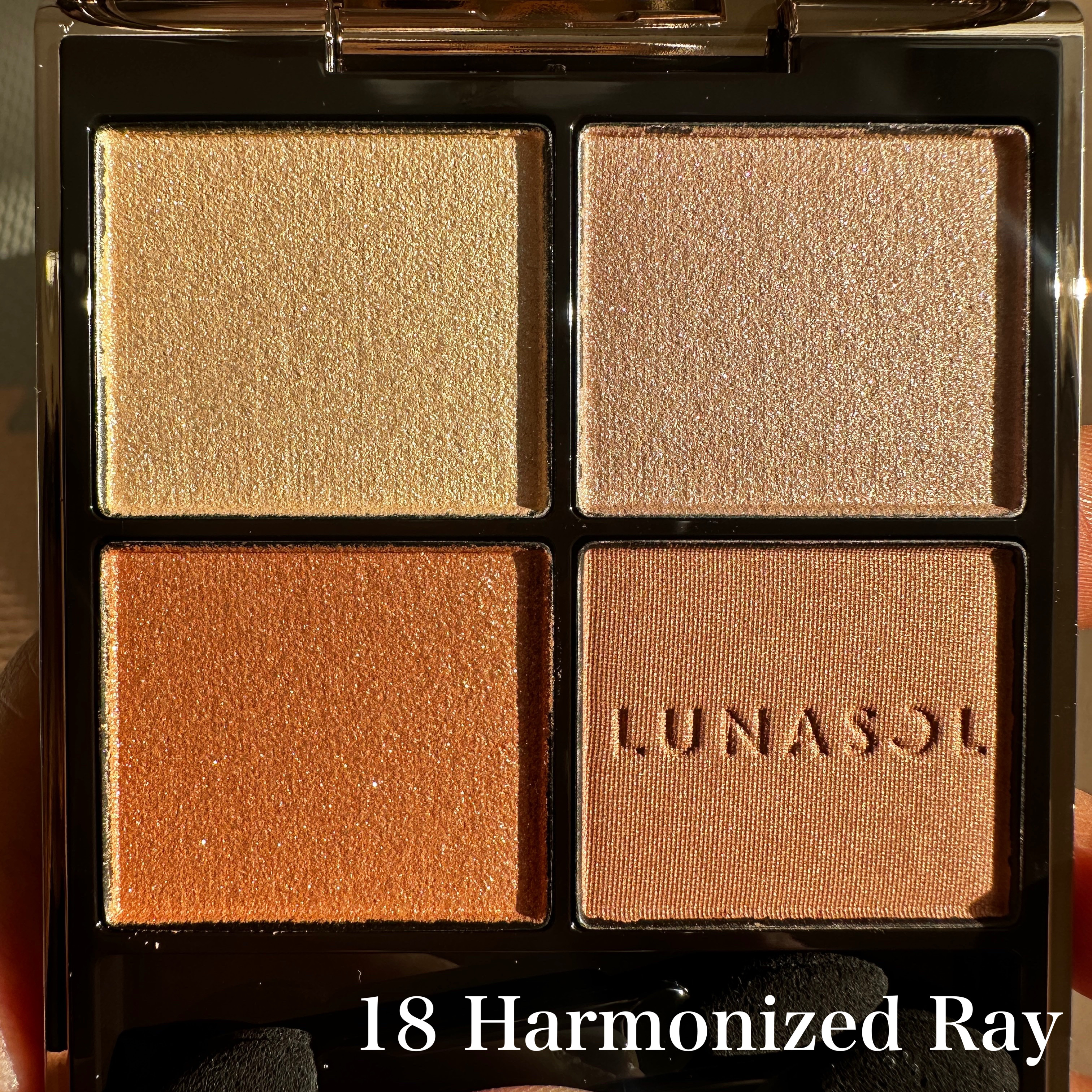 ルナソル アイカラーレーションN/LUNASOL/アイシャドウパレットを使ったクチコミ（2枚目）