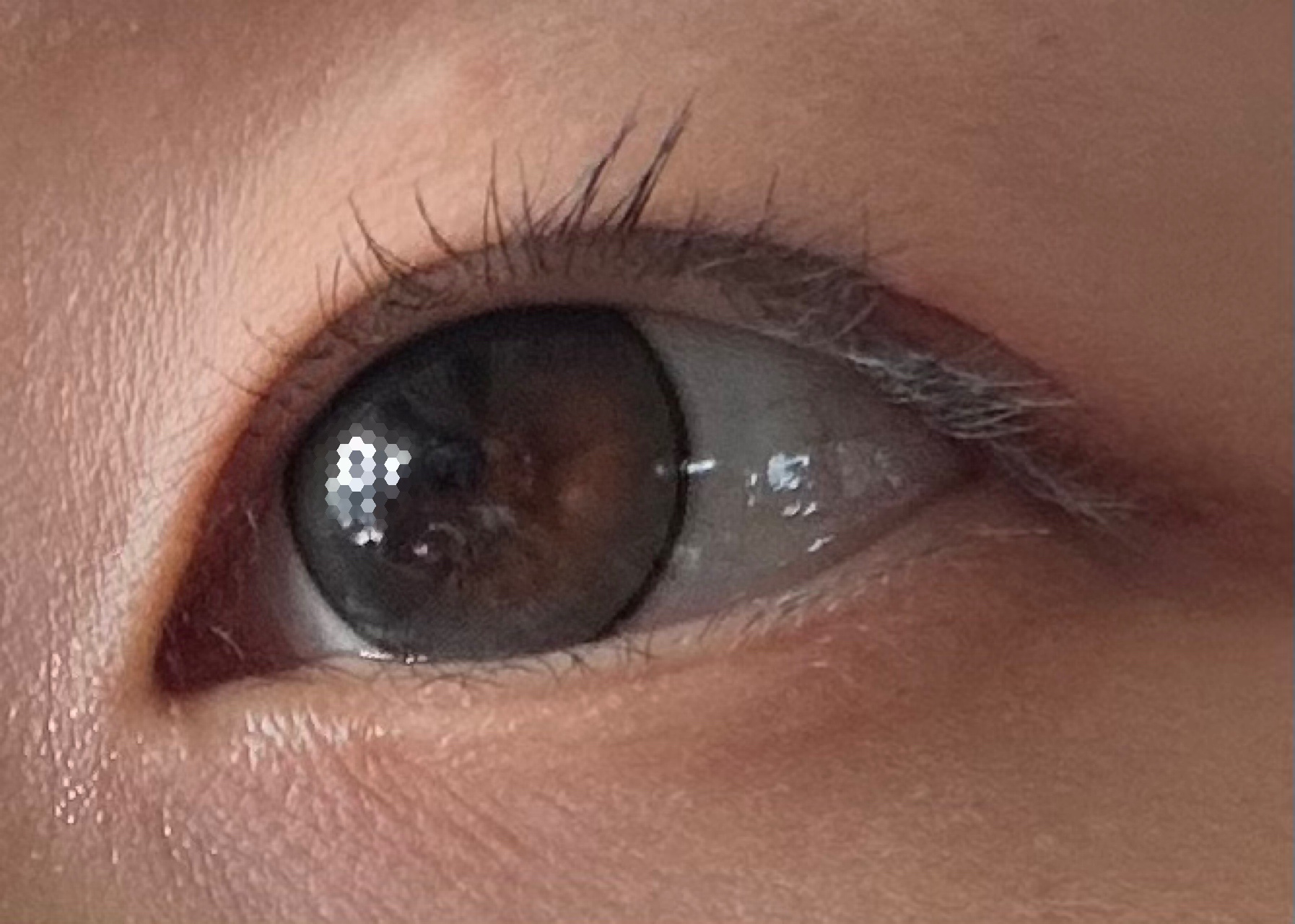 MOLAK 1day/MOLAK/ワンデー（１DAY）カラコンを使ったクチコミ（1枚目）