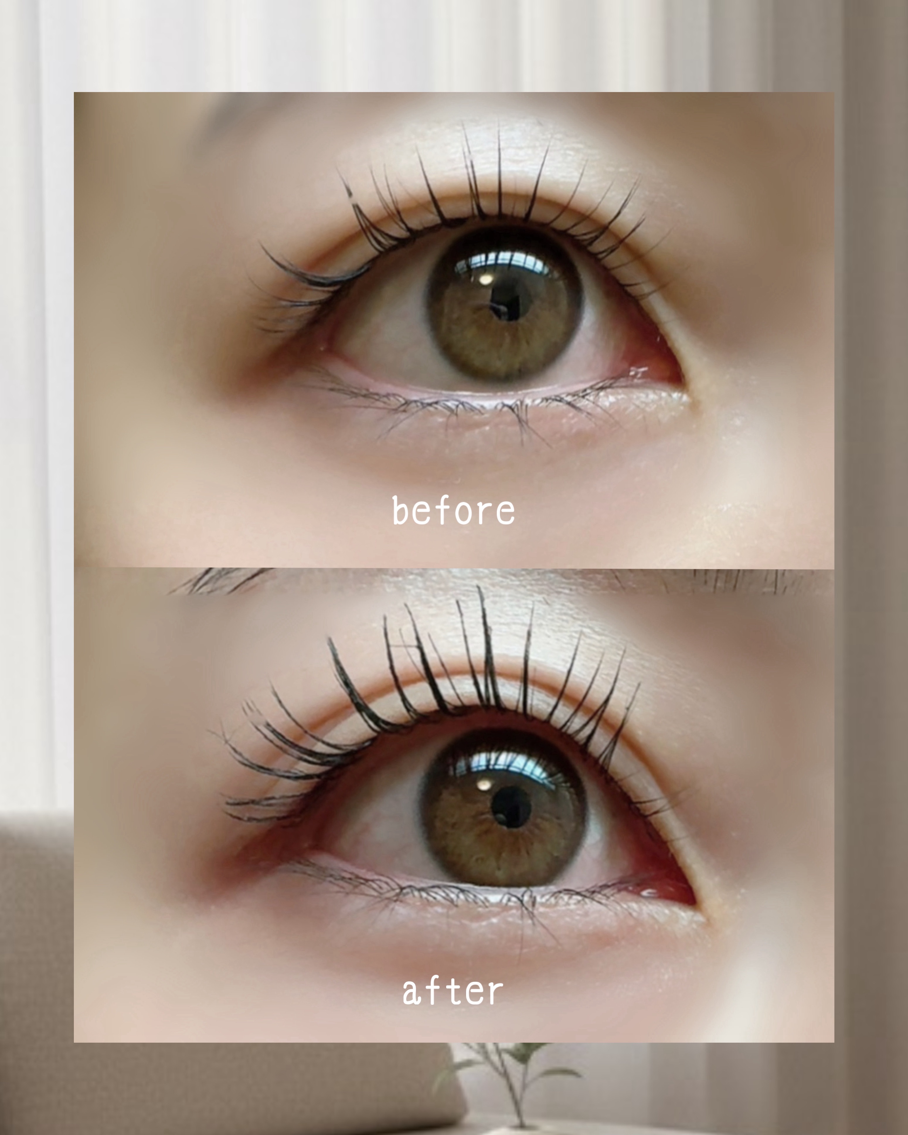 ハイパーリフトマスカラ/D-UP/マスカラを使ったクチコミ（2枚目）