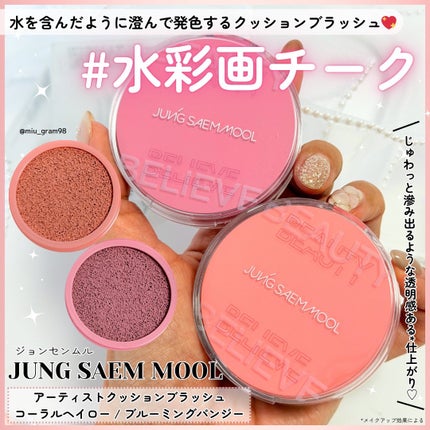 アーティストクッションブラッシュ/JUNG SAEM MOOL/リキッドチークを使ったクチコミ(1枚目)